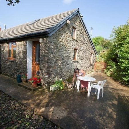 Inviting 2-Bed Cottage In Newcastle Emlyn Exteriör bild