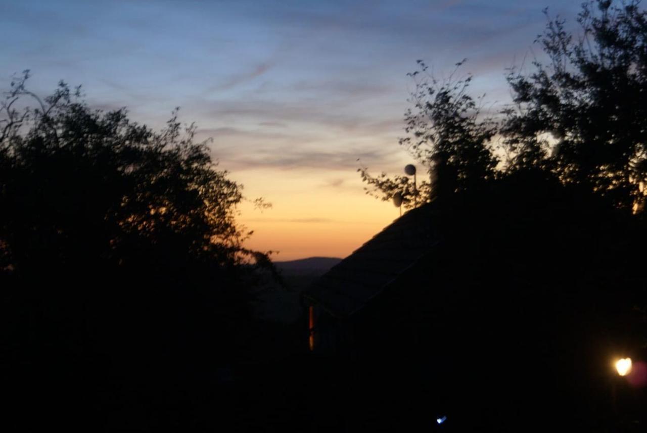 Inviting 2-Bed Cottage In Newcastle Emlyn Exteriör bild