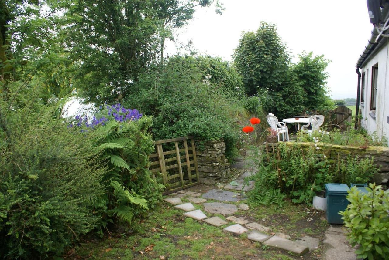 Inviting 2-Bed Cottage In Newcastle Emlyn Exteriör bild