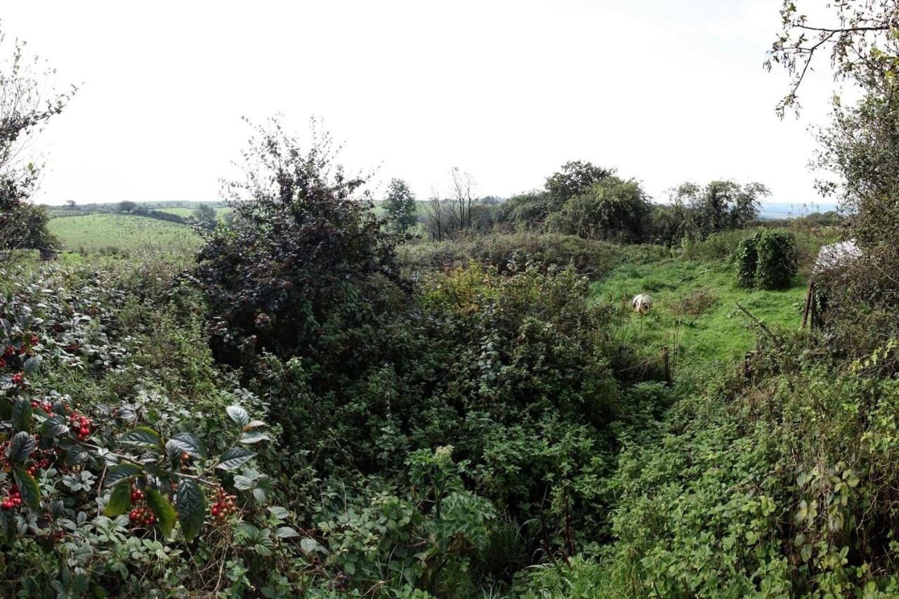 Inviting 2-Bed Cottage In Newcastle Emlyn Exteriör bild