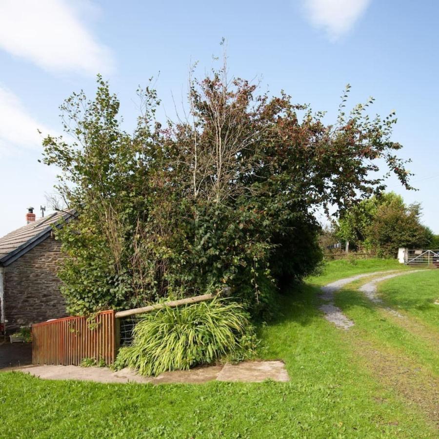 Inviting 2-Bed Cottage In Newcastle Emlyn Exteriör bild