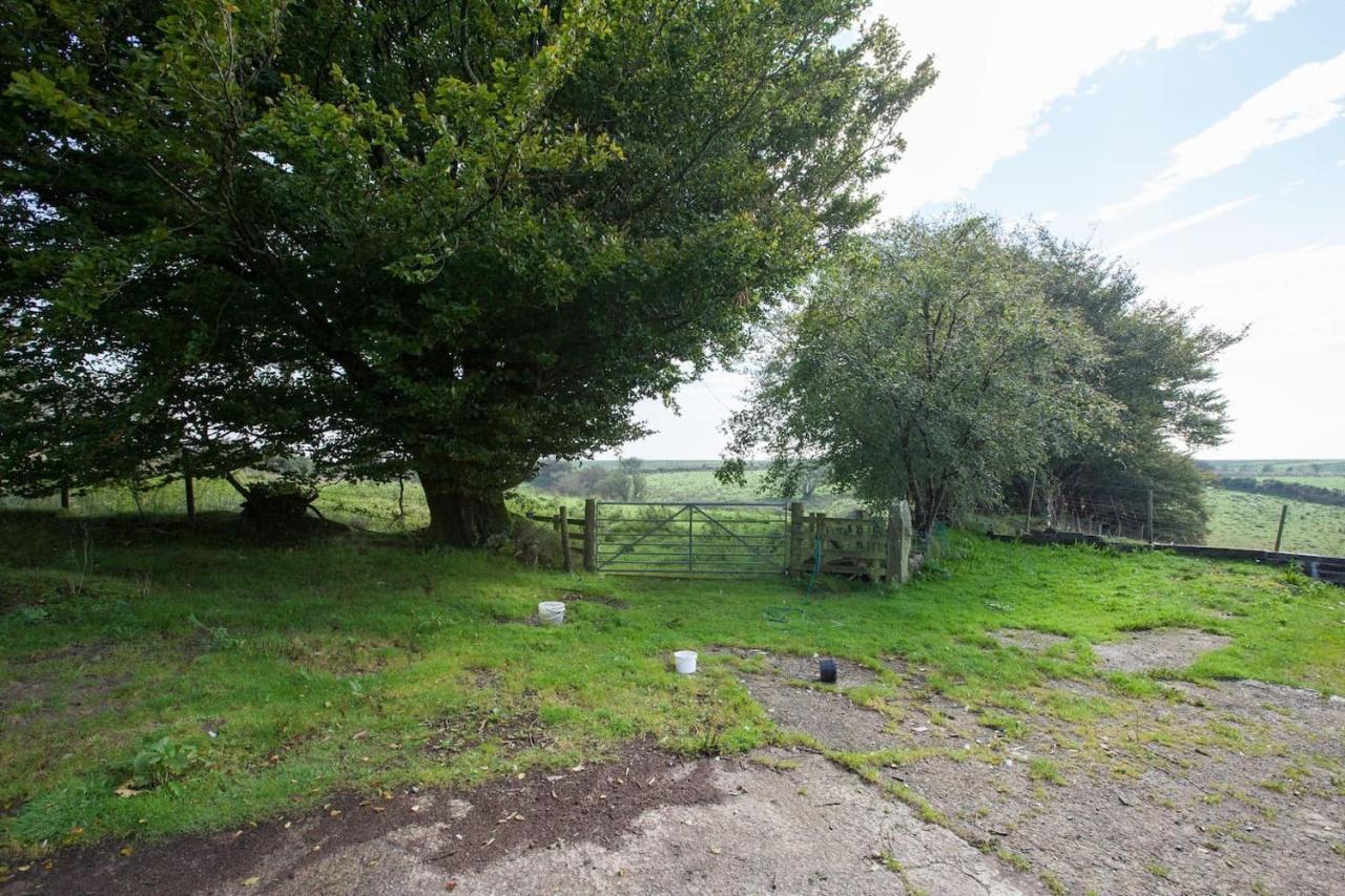 Inviting 2-Bed Cottage In Newcastle Emlyn Exteriör bild